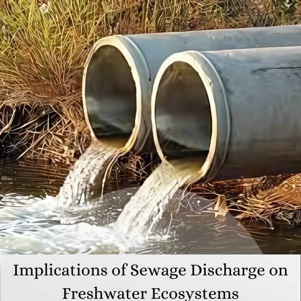 Implications of Sewage Discharge on Freshwater Ecosystems